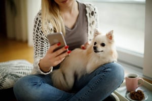 Boost Customer Engagement and Loyalty with Gingr Pet-Care Software