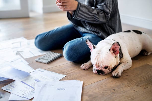 Financial Planning for Your Pet-Care Business: 10 Steps to Prepare for the New Year