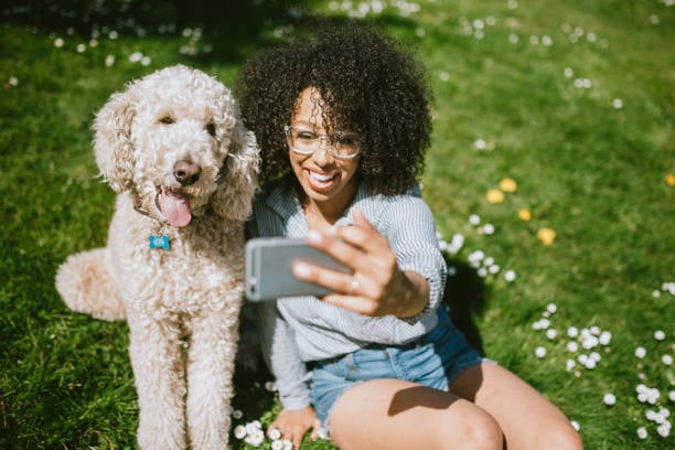 Leveraging Social Media for Your Pet-Care Business