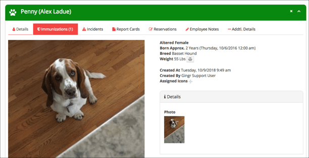 Gingr vaccine tracking in pet profile