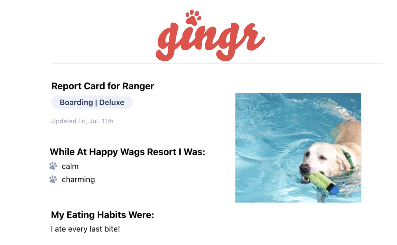 A Gingr report card for a boarded dog with a swim-time photo, behavior notes, and eating habits