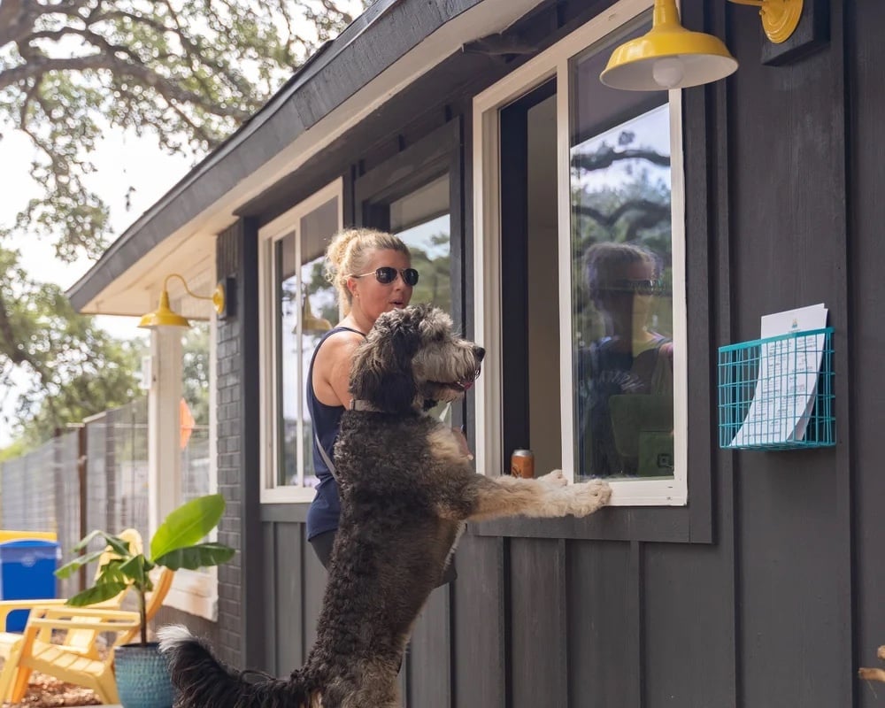 A dog greeting a staff member at the service window of an outdoor dog bar
