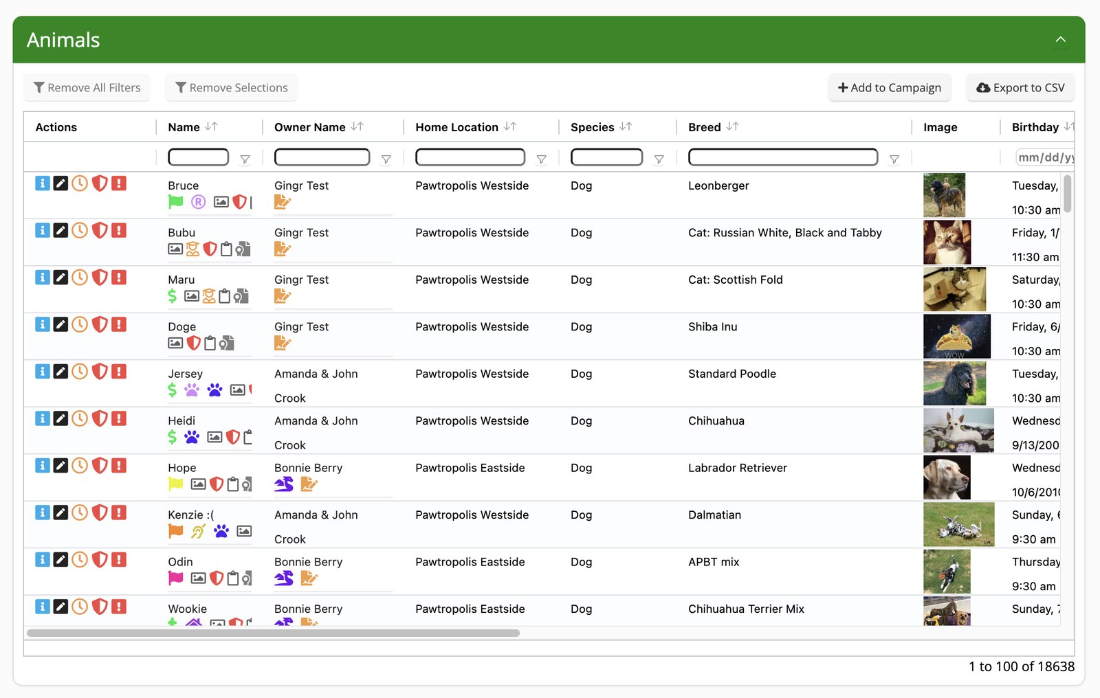 The Gingr animals list with custom animal and owner icons flagging what staff need to know