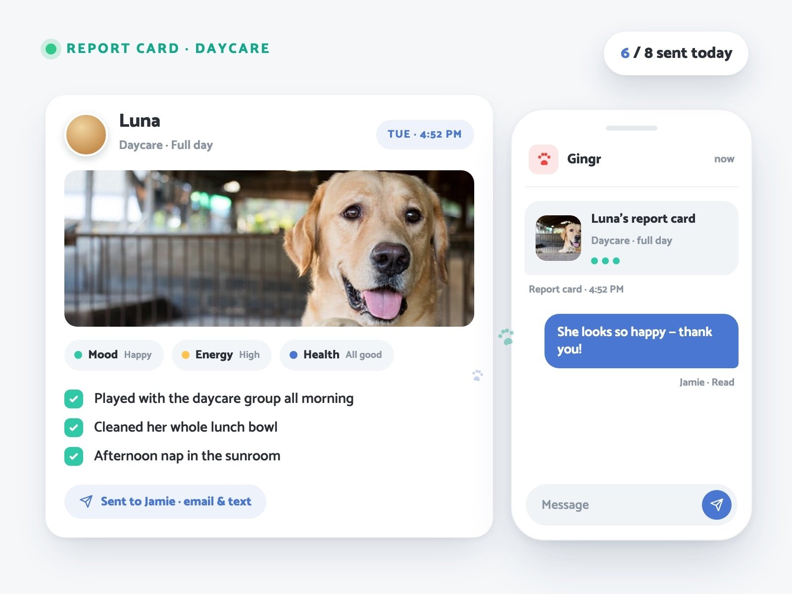 A Gingr report card for a dog called Luna with a photo from the play floor, the text message that delivers it, and the pet parent replying