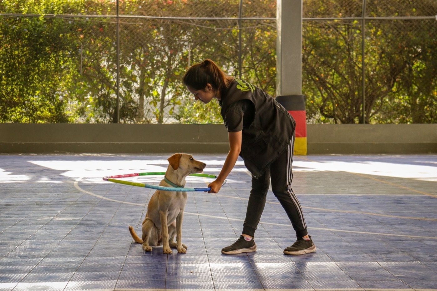 A dog trainer working one-on-one with a dog through a hoop during an outdoor training session