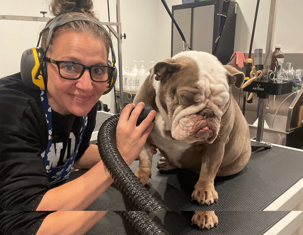 groomer with a bulldog at old mill dog spa