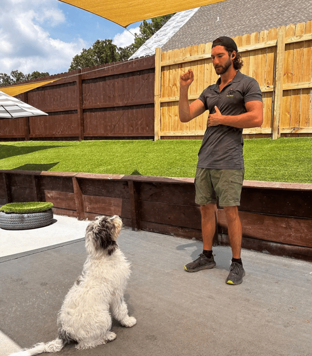 dog training at paws mahal