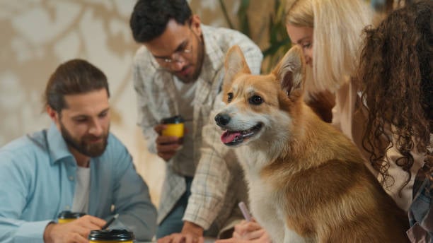 7 Tips for Allocating Staff Members’ Time More Efficiently | Gingr
