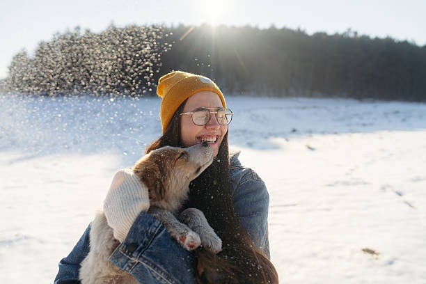 dog playing with pet parent outside in snow