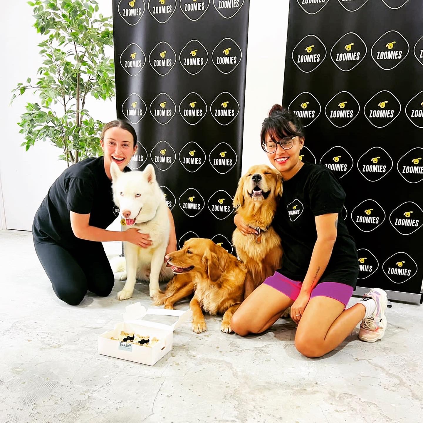 Your Pets' Home Away from Home in Dubai