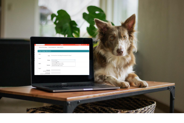Our dog daycare and pet boarding software is customizable for each unique business.