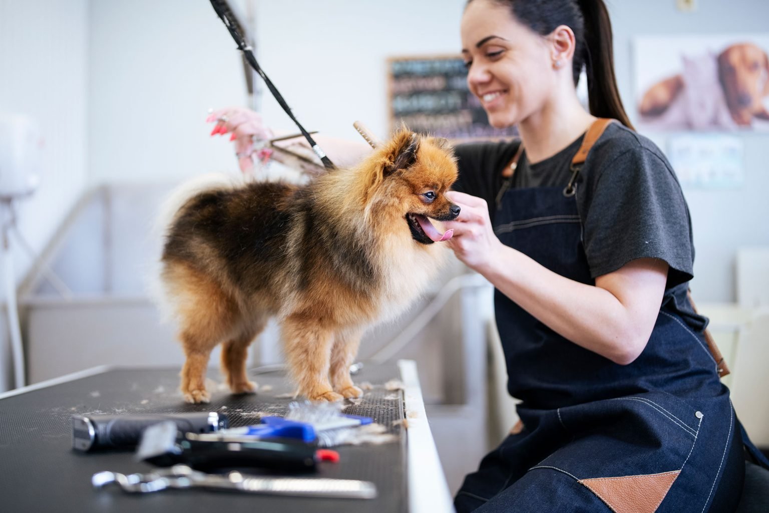 Wash n' Woo: The Groomery for Pampered Pets