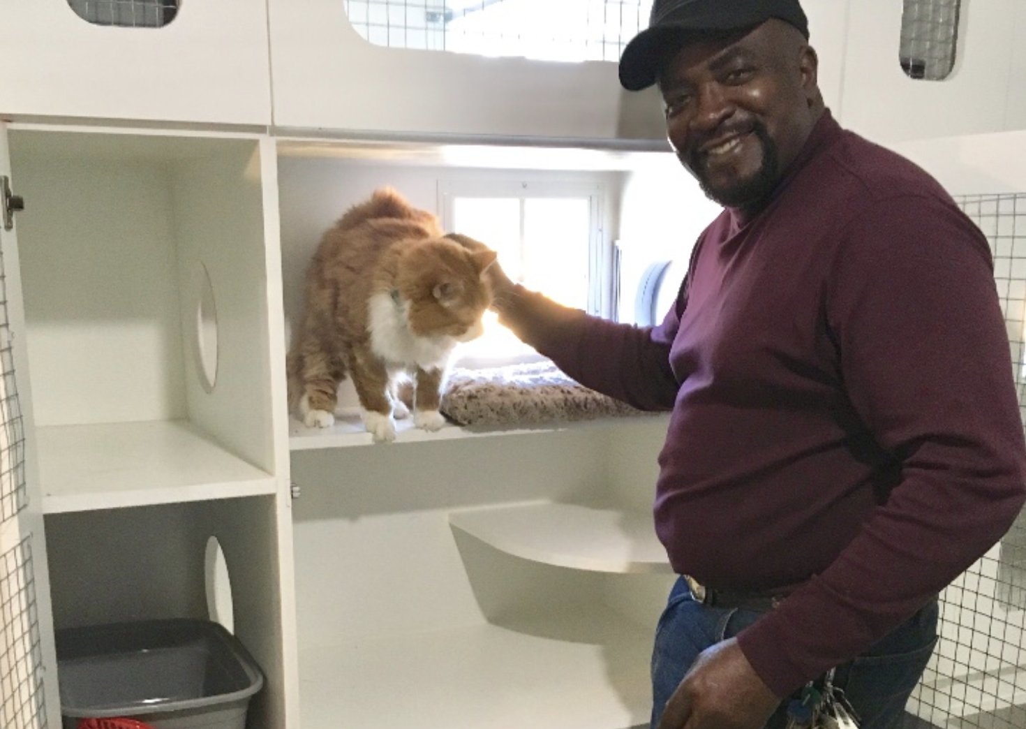 Douglas Horton, owner of Happy Cats Retreat