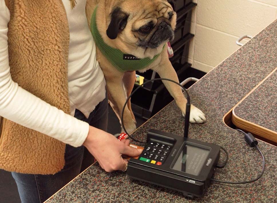 Best Dog Business Software for your Pet Business Gingr App