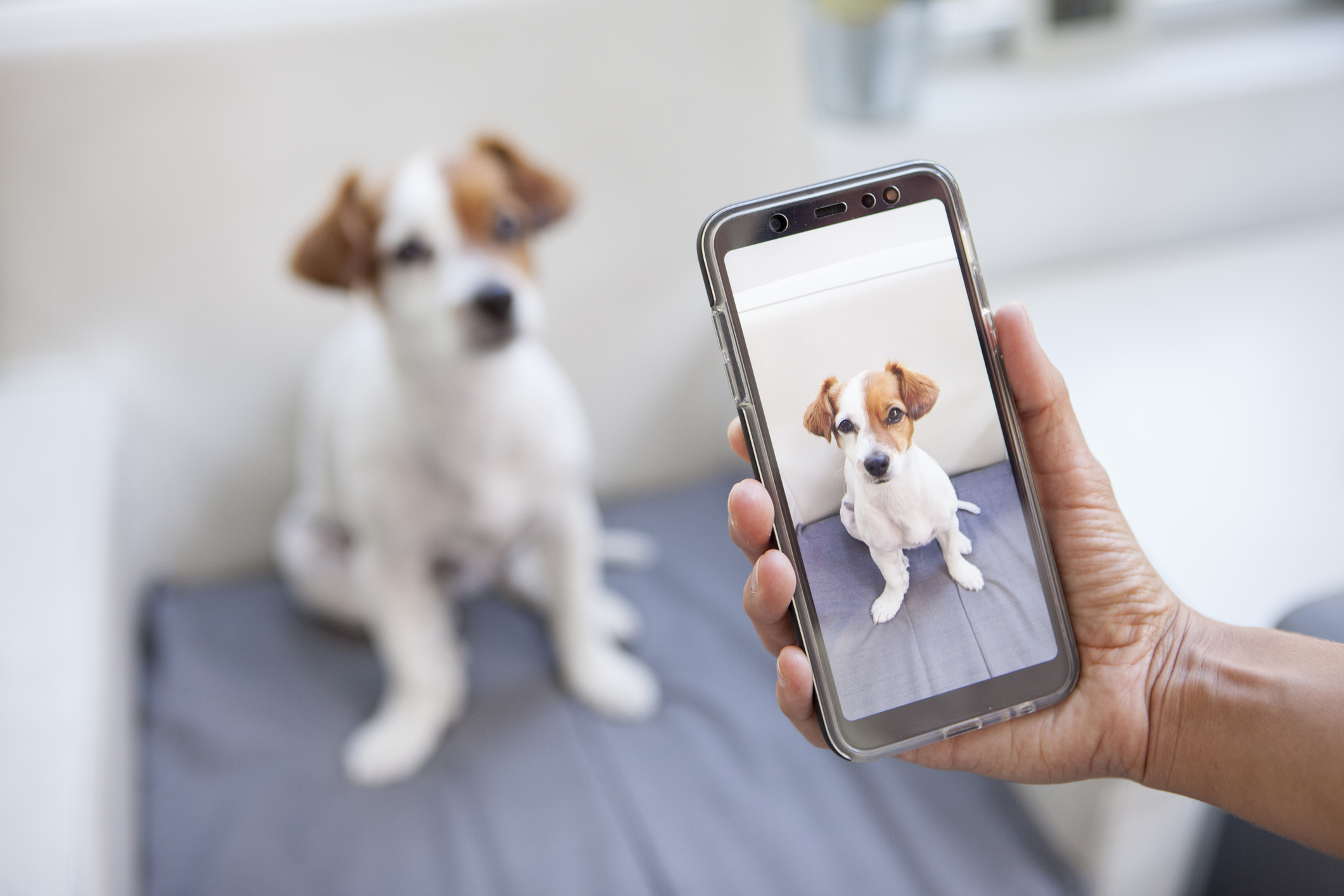 feature image