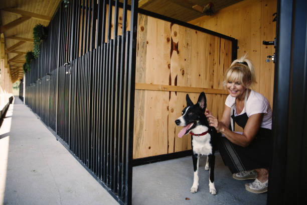 How to Choose the Right Dog Boarding Facility