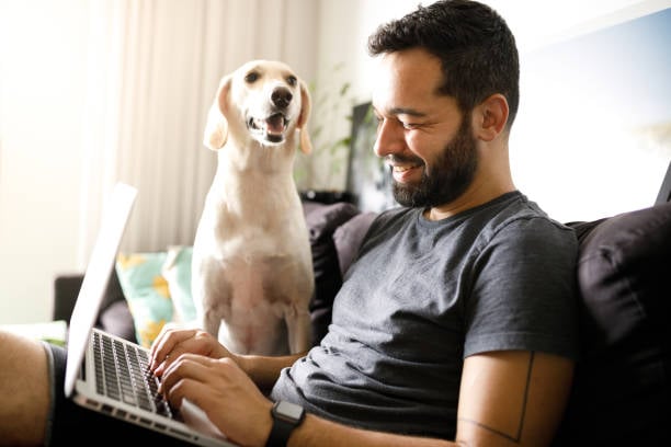 A Year in Review: Top Trends in the Pet-Care Industry for 2023