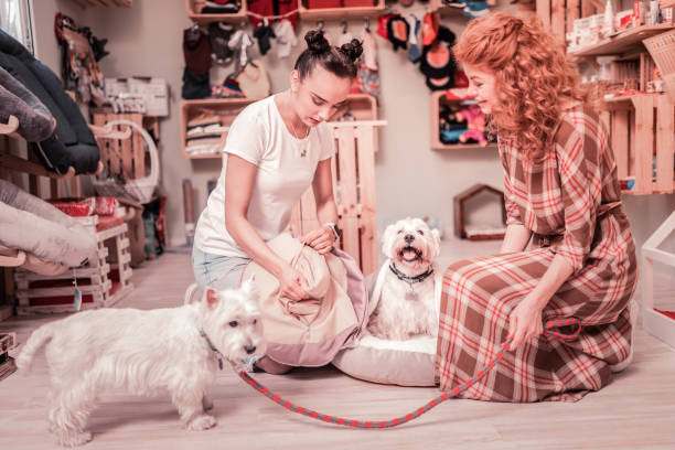 dog boarding business and pet parent happy at checkout