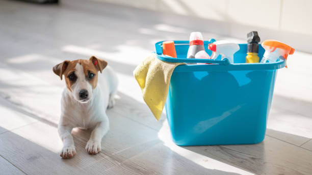 The Importance of Proper Hygiene and Sanitation in Pet-Care Businesses