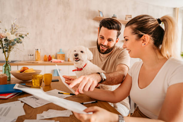 Year-End Business Review: Evaluating Your Pet-Care Facility's Performance