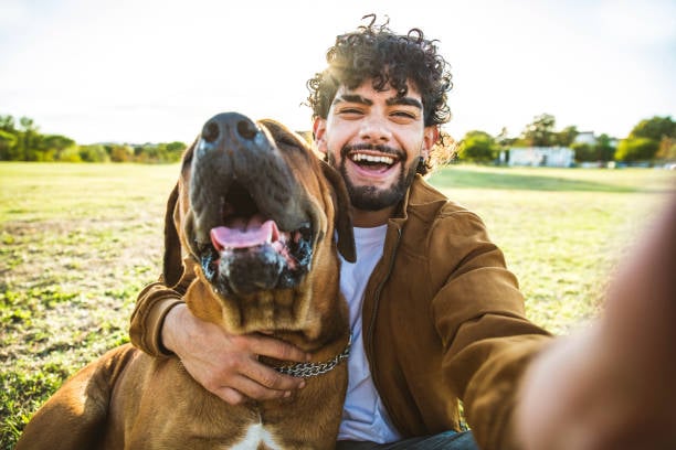 istockphoto-1350399329-612x612