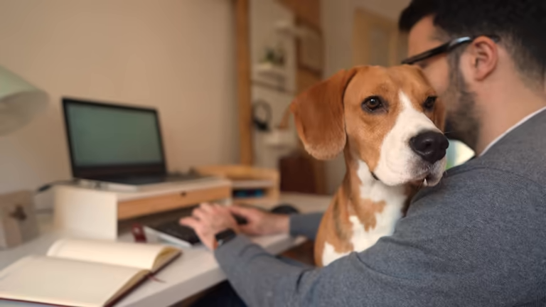staff member and dog training at computer