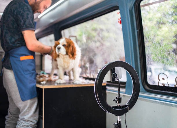 A person gives a dog grooming tutorial using their phone