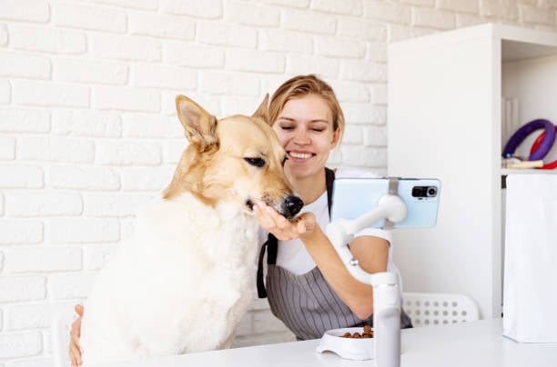 dog groomer livestreaming a demonstration with a pup 