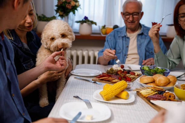 Thanksgiving food to avoid feeding dogs