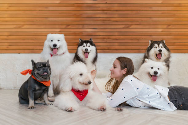 A Winning Combination: The Benefits of Dog Daycare and Boarding Software for Dogs and Owners