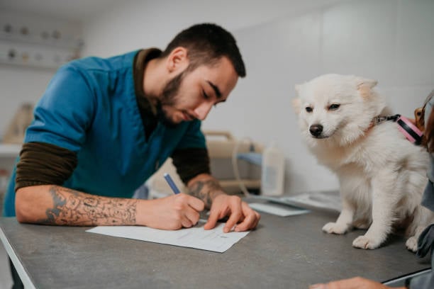 A pet staff member writes on a paper form