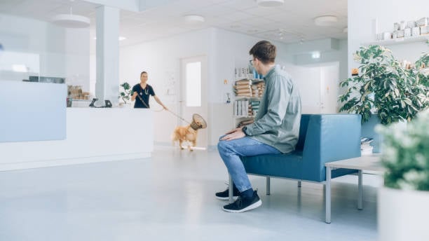 nice modern waiting room for pet care