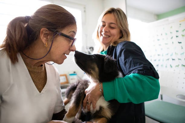 pet-care professional and new client