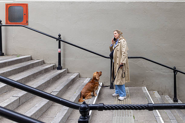 pet business owner talking on phone while dog gazes at her