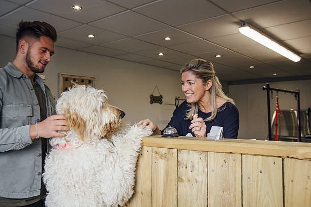 dog and pet parent checking out of pet-care business