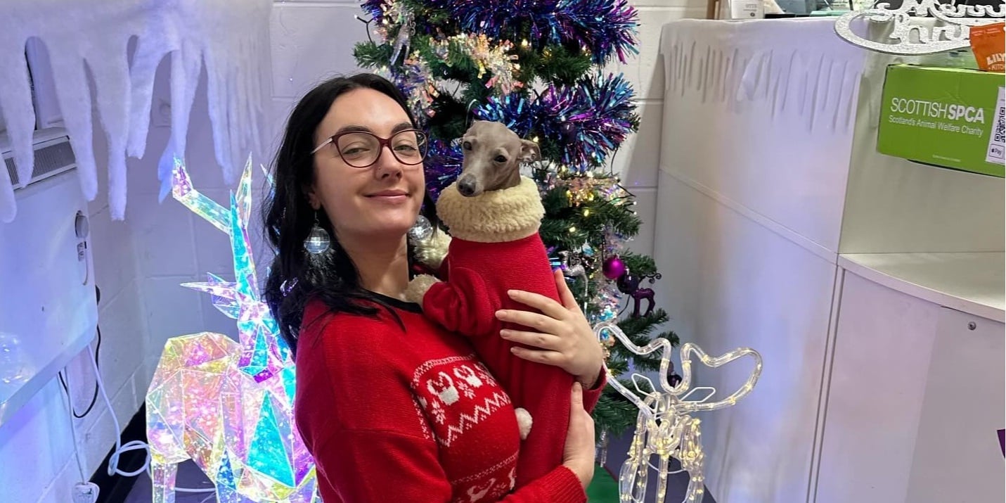 A staff member holding a small dog in a festive sweater at Chilled Dawgz Dog Daycare in Glasgow