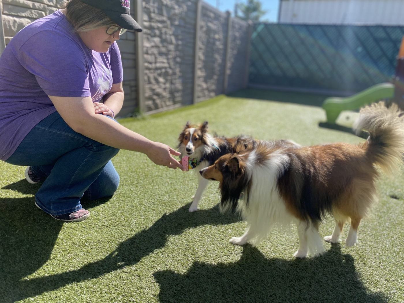 The Pinnacle Pets Play & Stay team, a multi-location pet-care business on Gingr