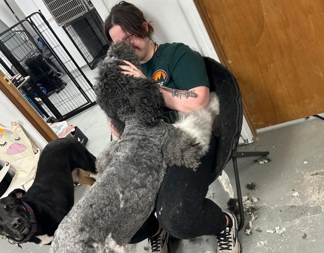 A groomer bonding with a freshly groomed doodle at Soo Dog Gone Cute in Waynesville, North Carolina